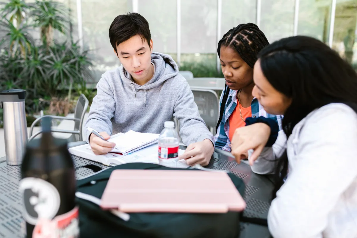 Due Diligence on Free Software in Higher Education